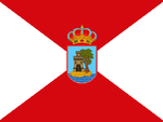 Vigo bandera 2